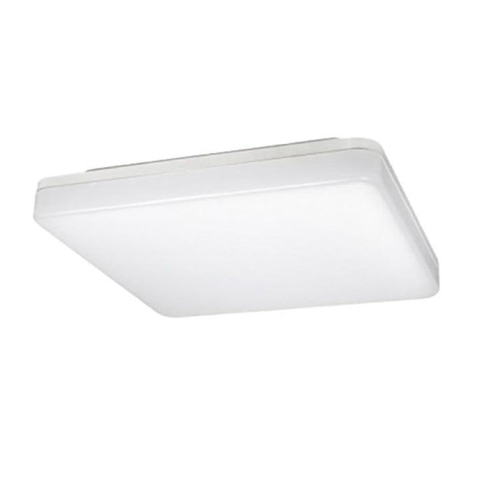 LED plafonjera 24W hladno bela