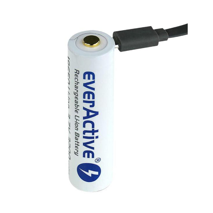 Industrijska punjiva baterija 3200 mAh EverActive